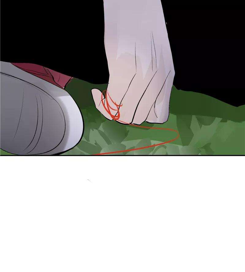 48.jpg