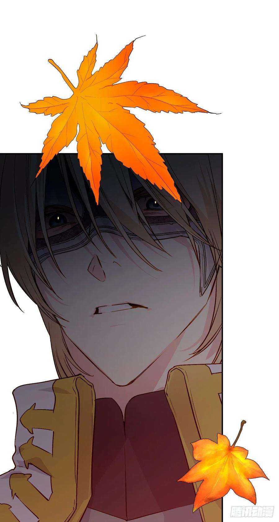 41.jpg