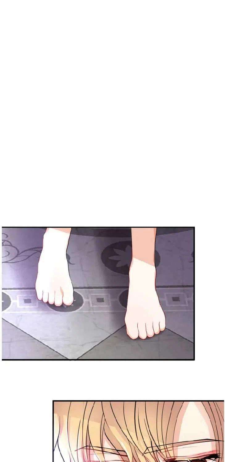 62.jpg