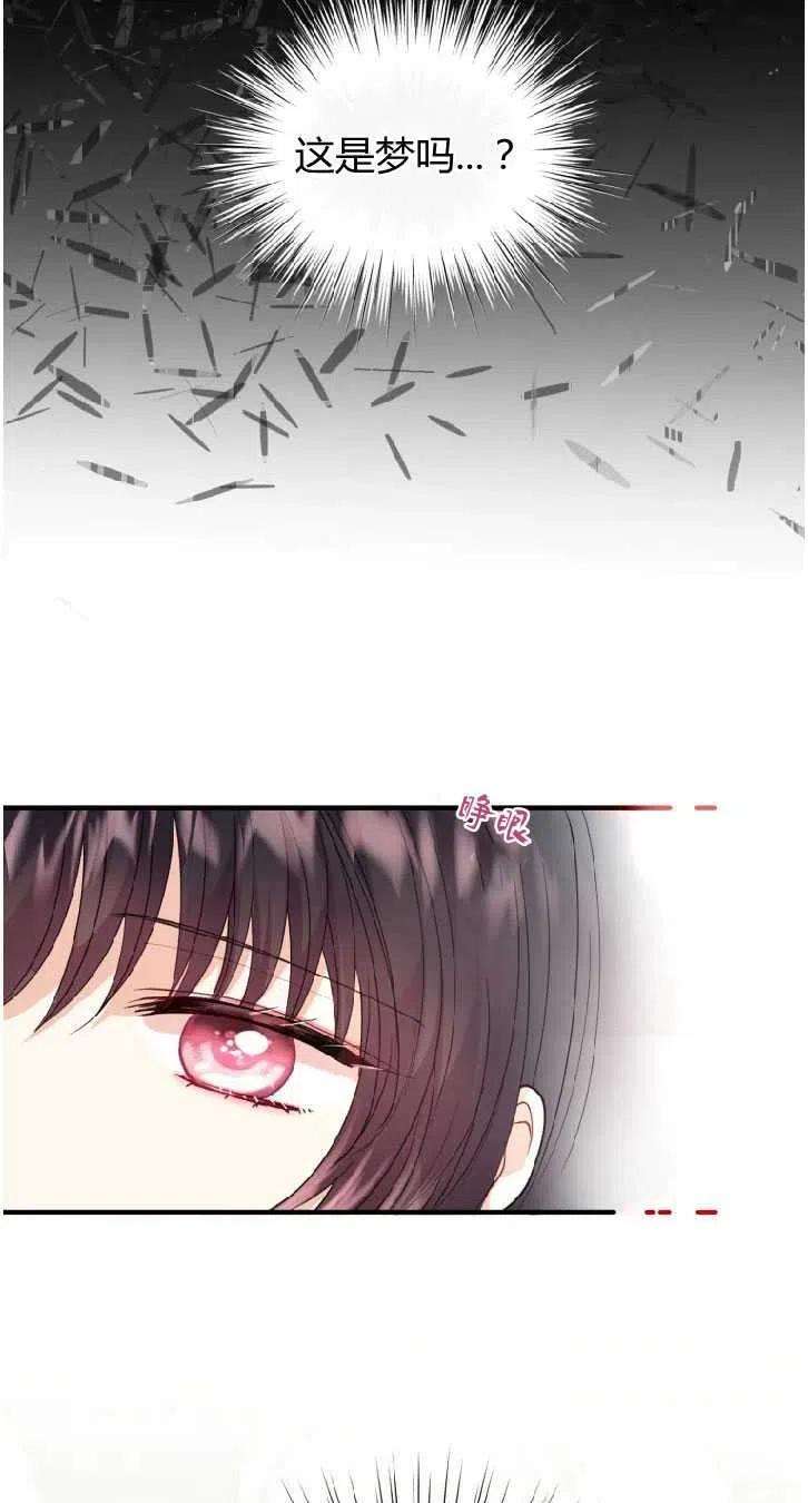 53.jpg