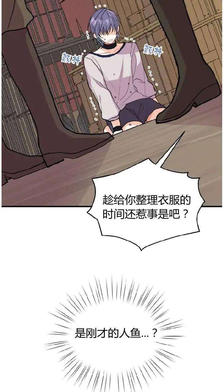 56.jpg