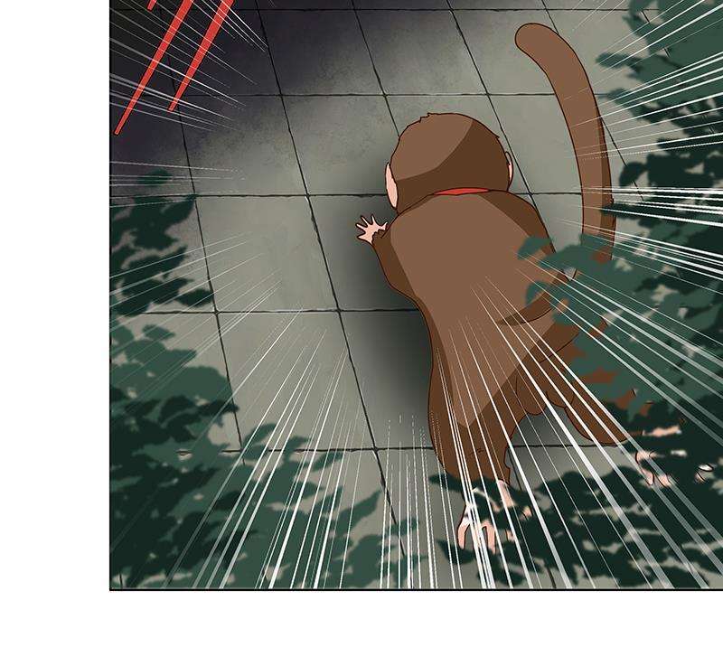 47.jpg