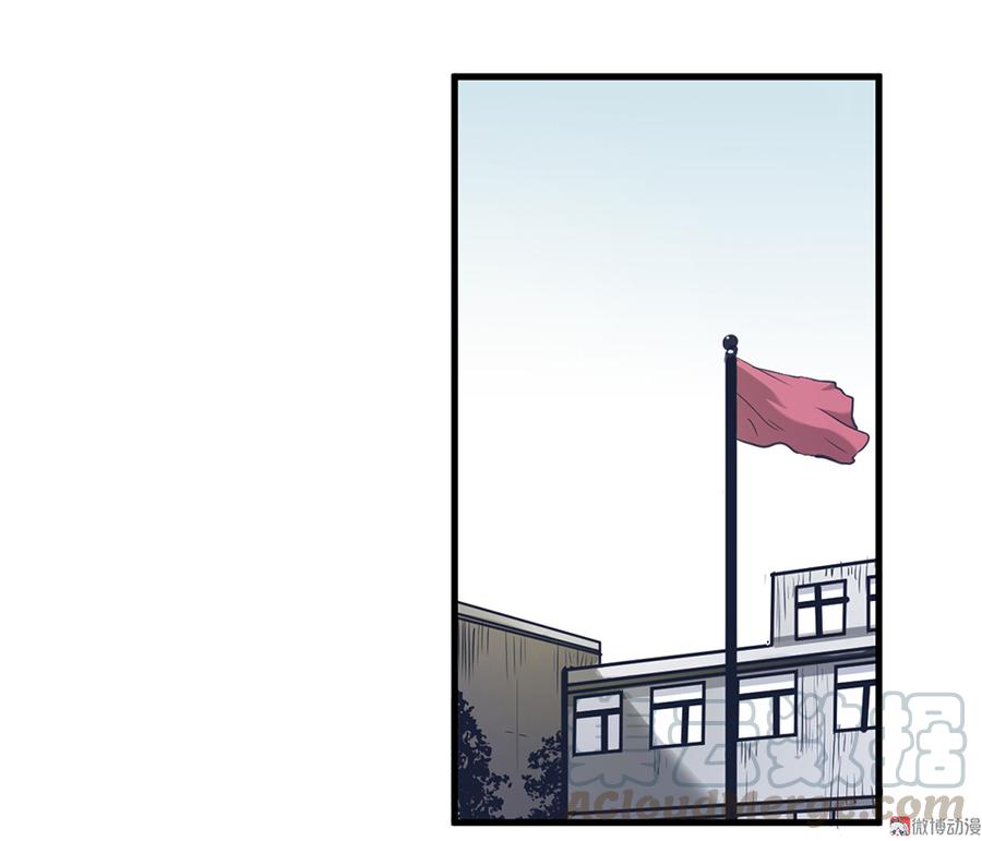 41.jpg