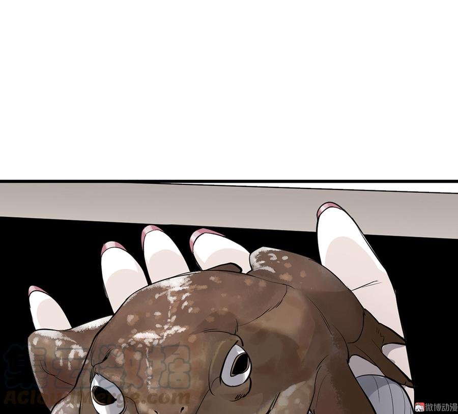 81.jpg