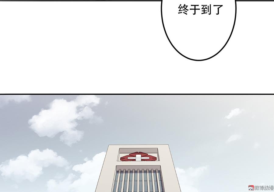66.jpg