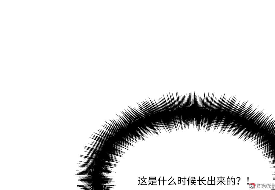 114.jpg