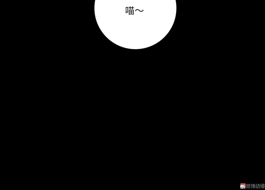 164.jpg