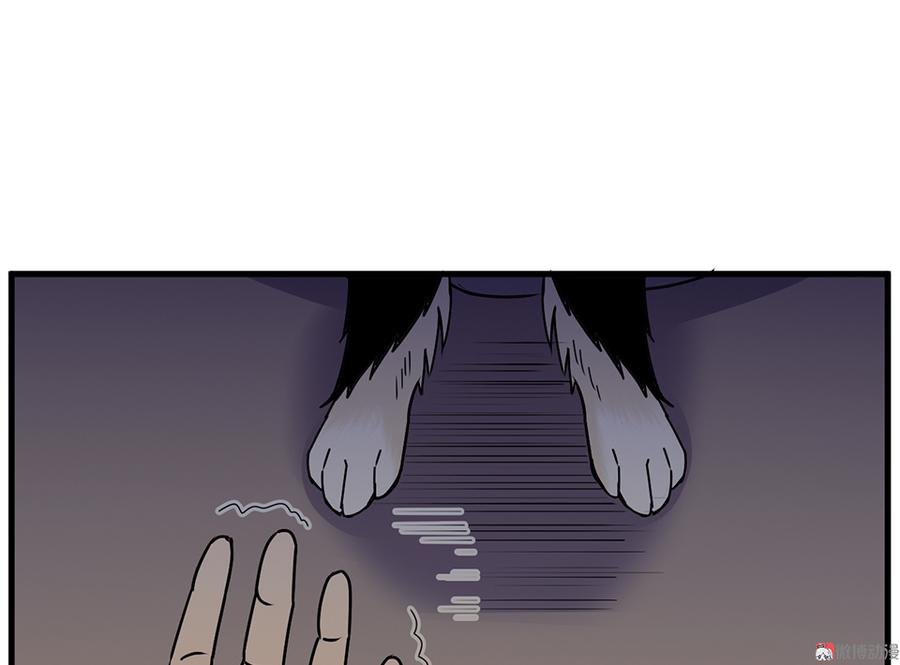127.jpg