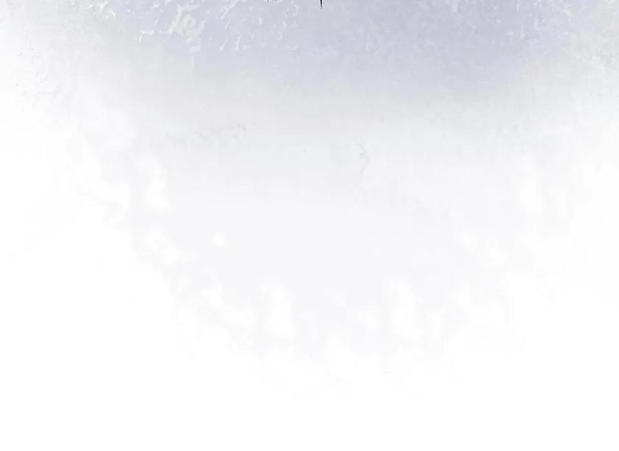 251.jpg