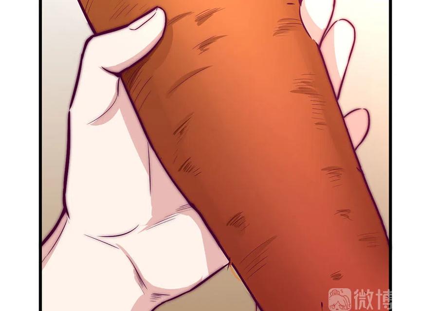 146.jpg