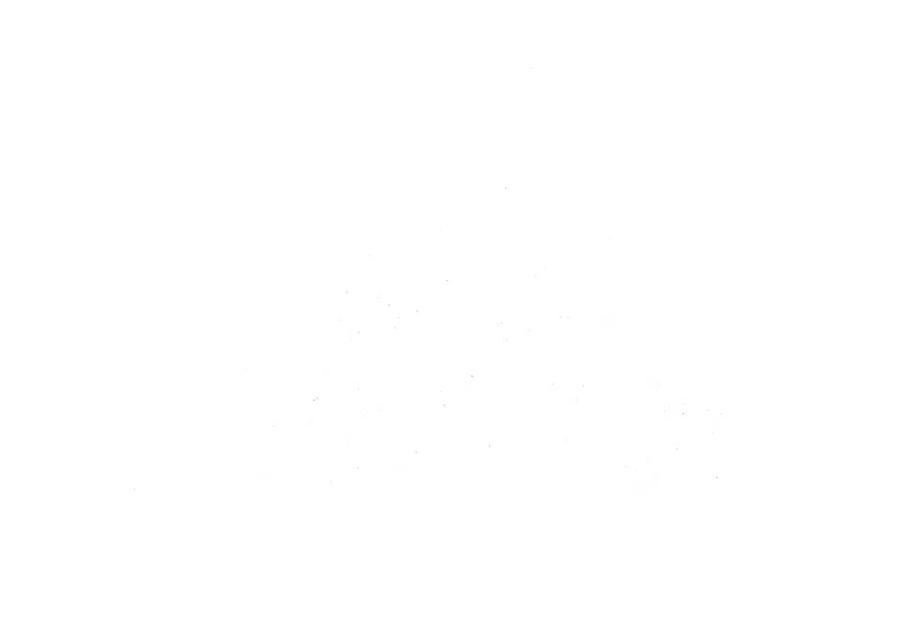61.jpg