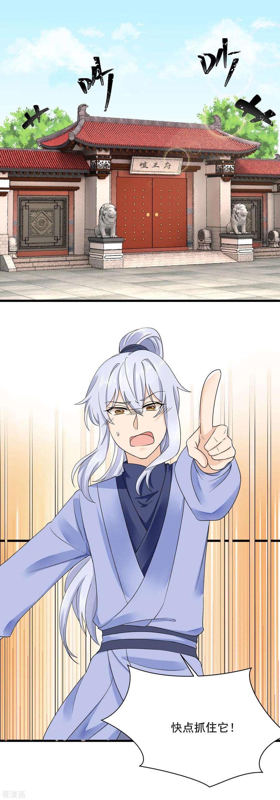 11.jpg