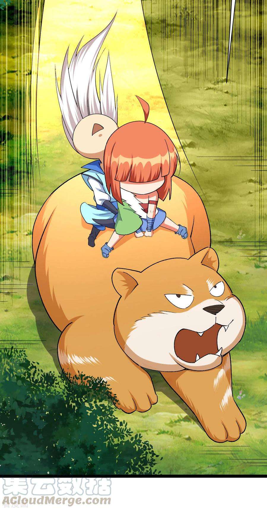17.jpg