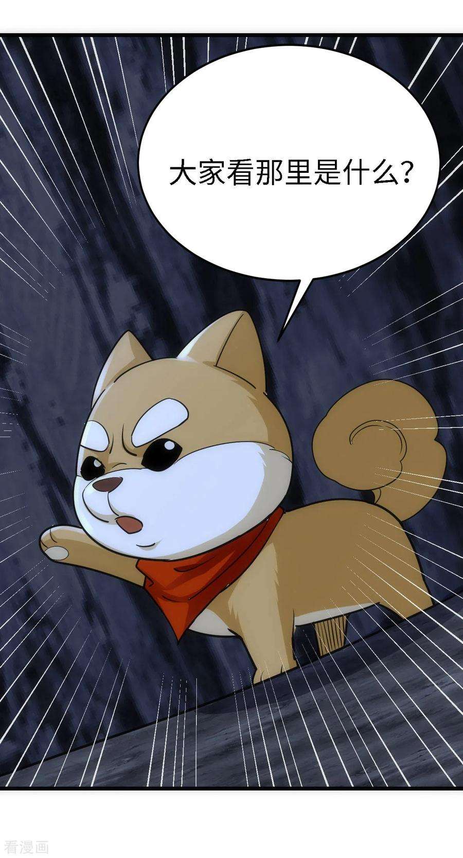 6.jpg