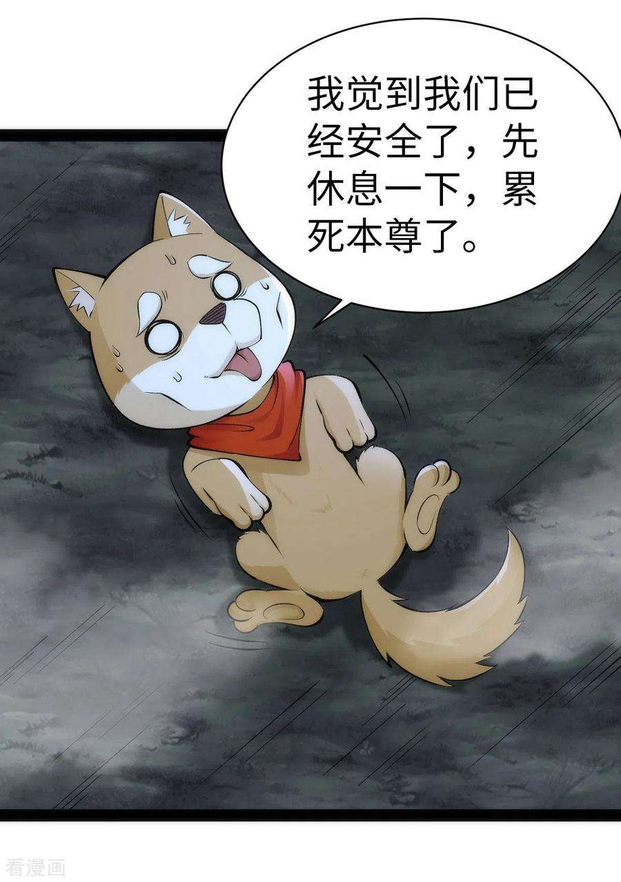 4.jpg