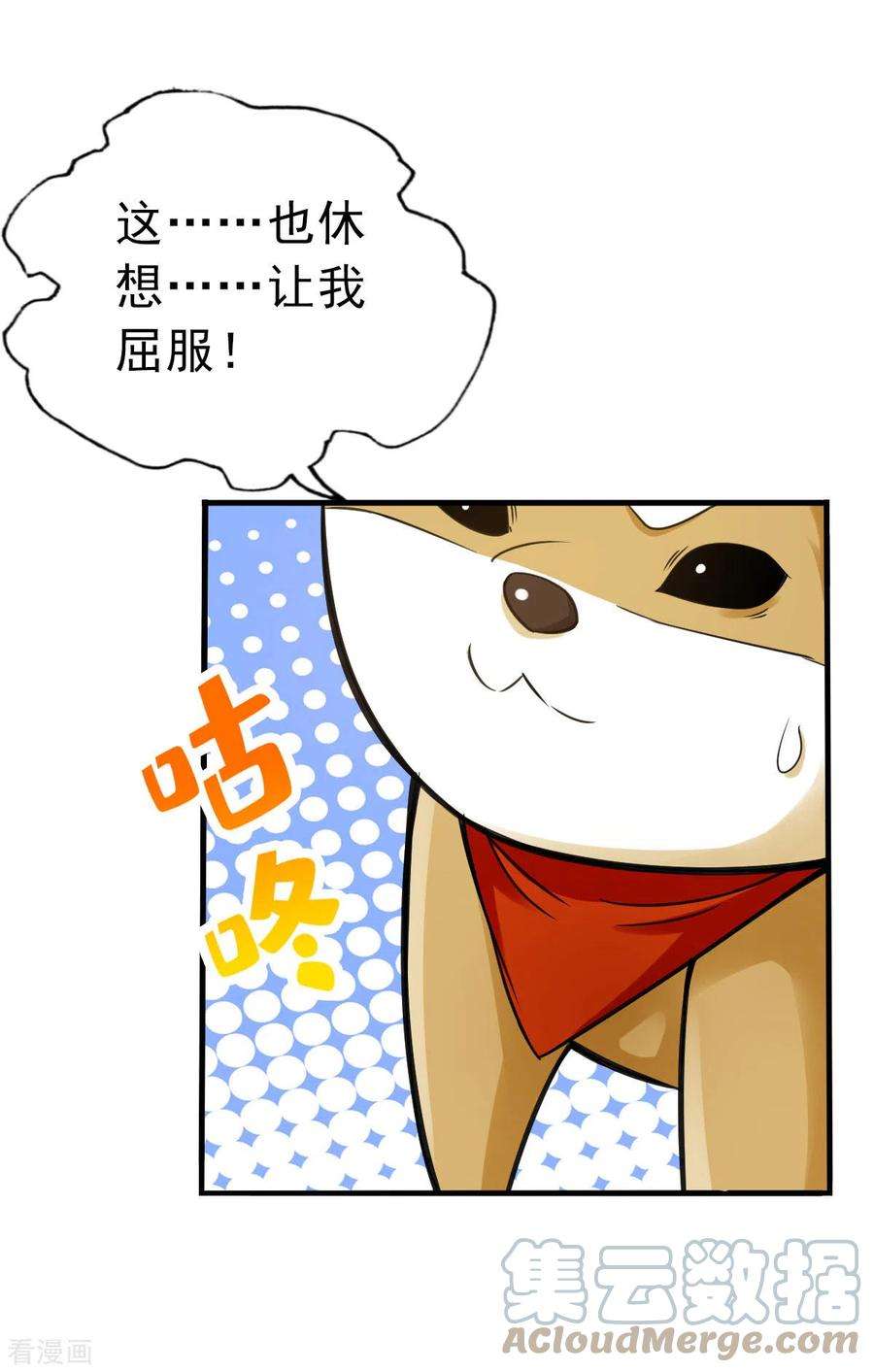 13.jpg