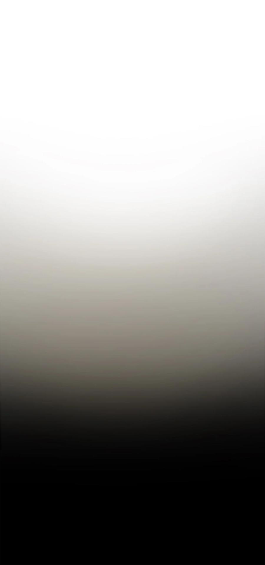 117.jpg
