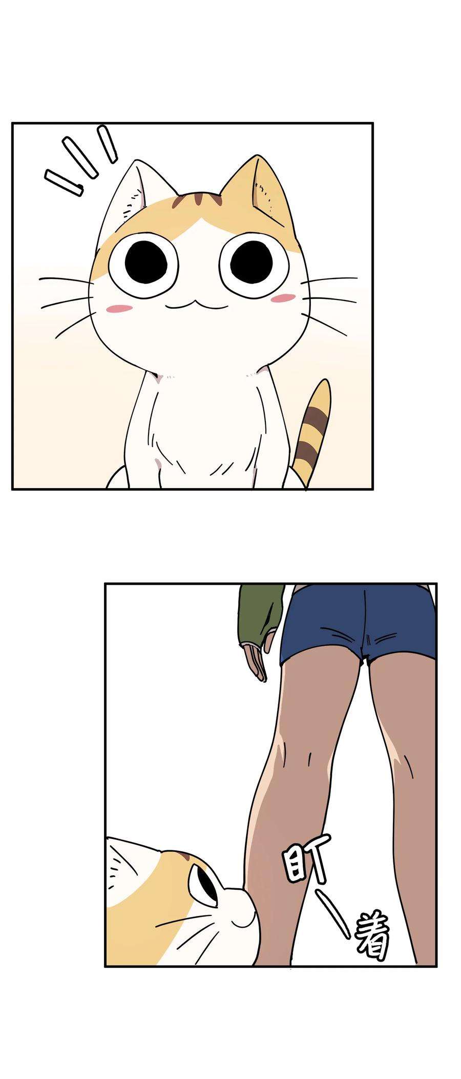 44.jpg