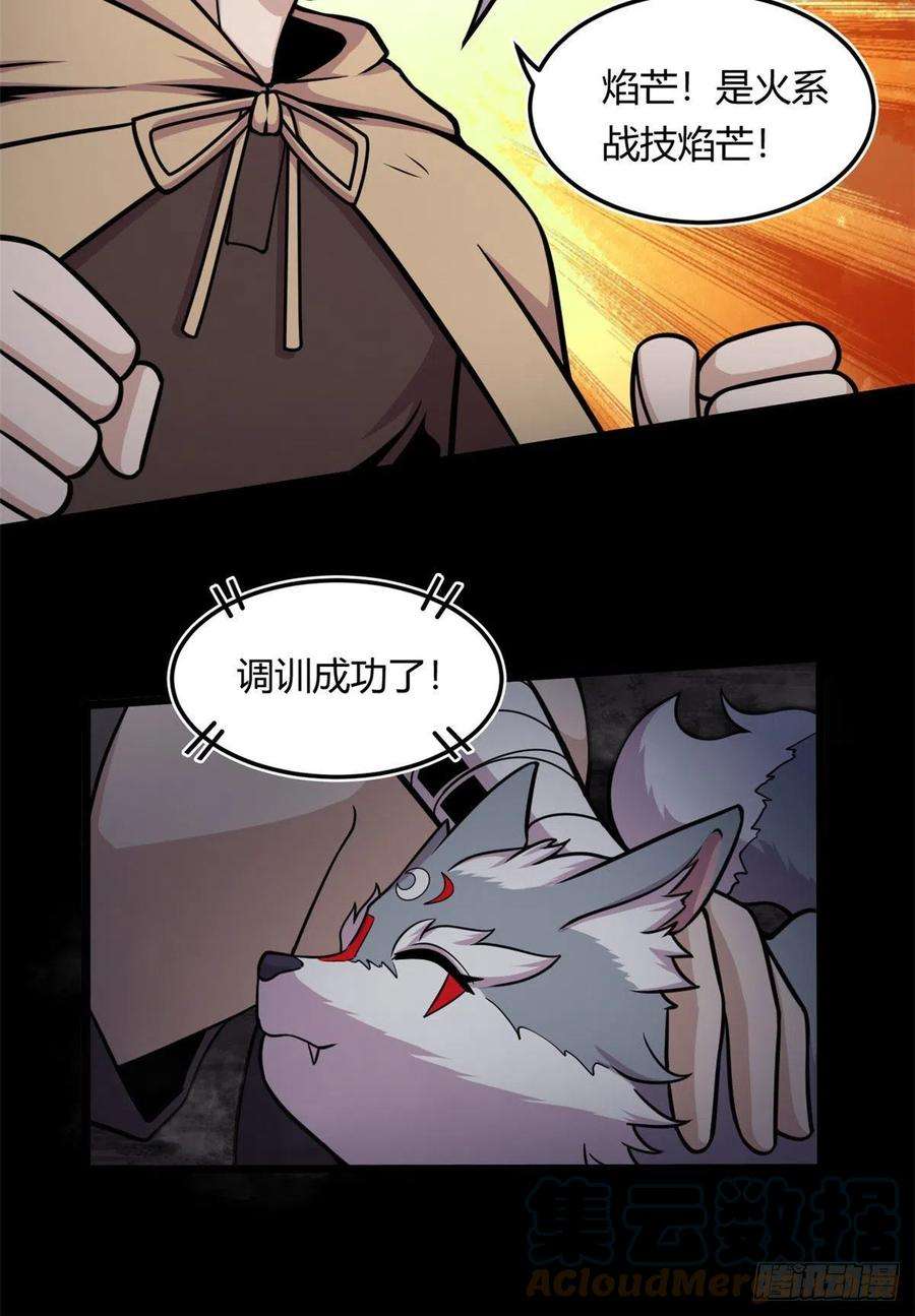 11.jpg