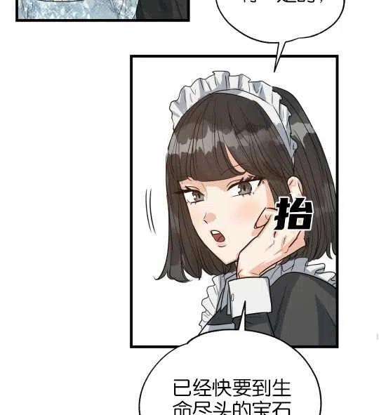 62.jpg