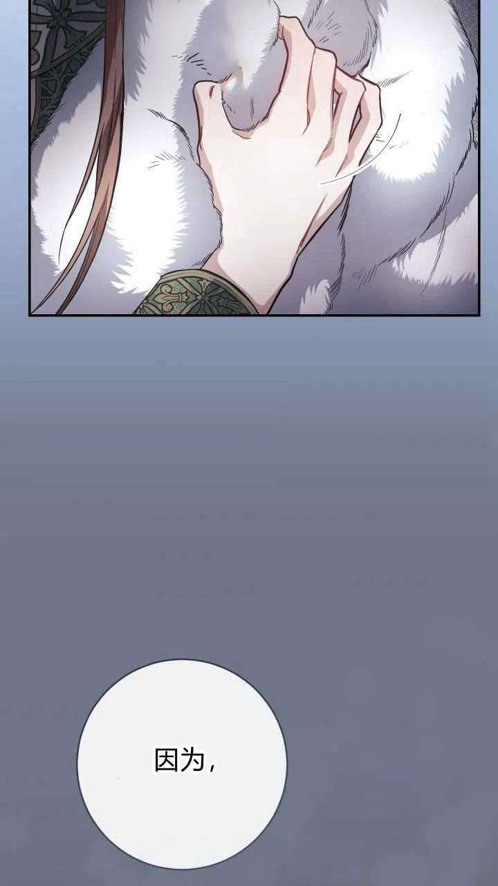 54.jpg