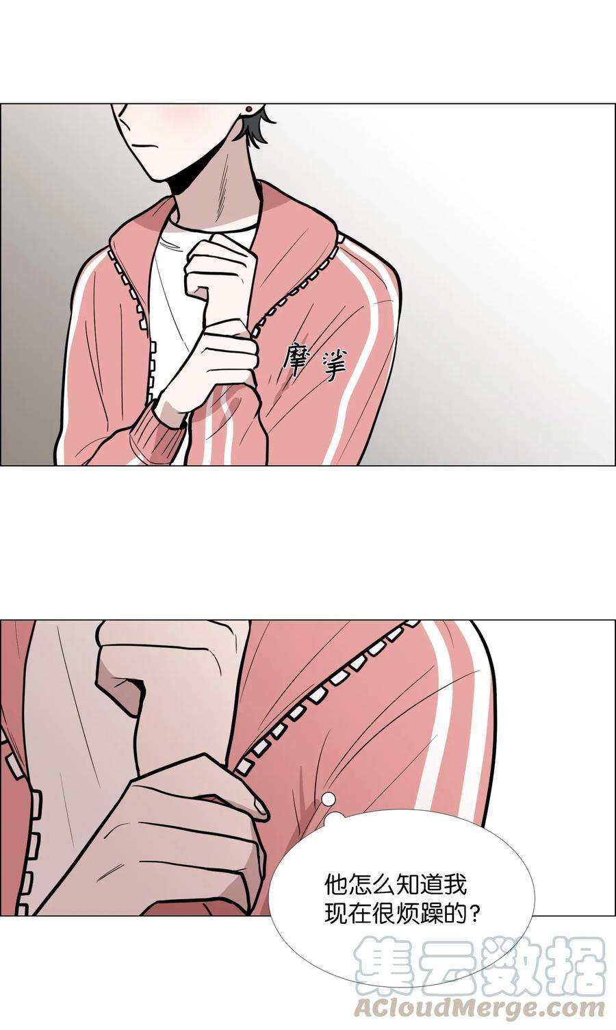 41.jpg