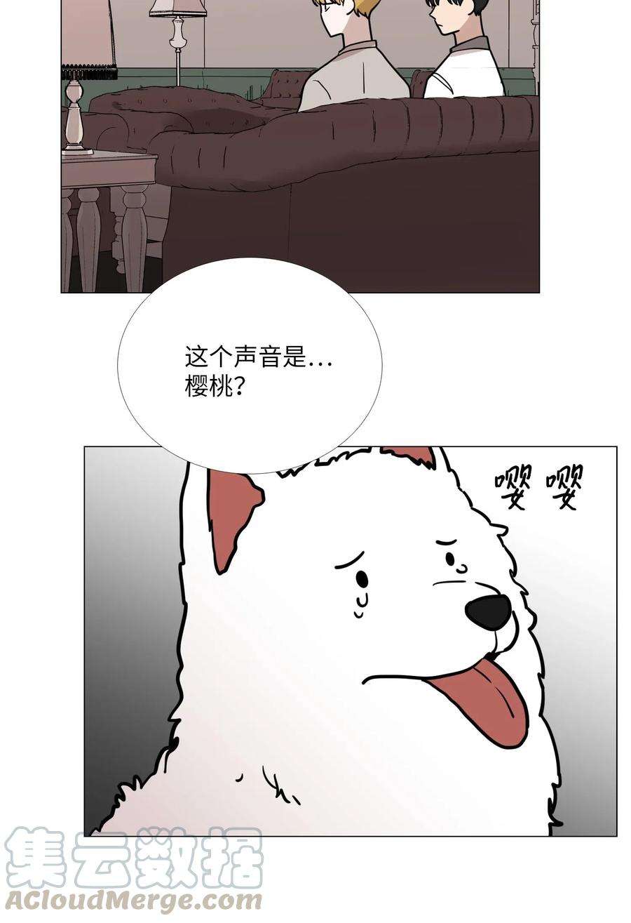 61.jpg