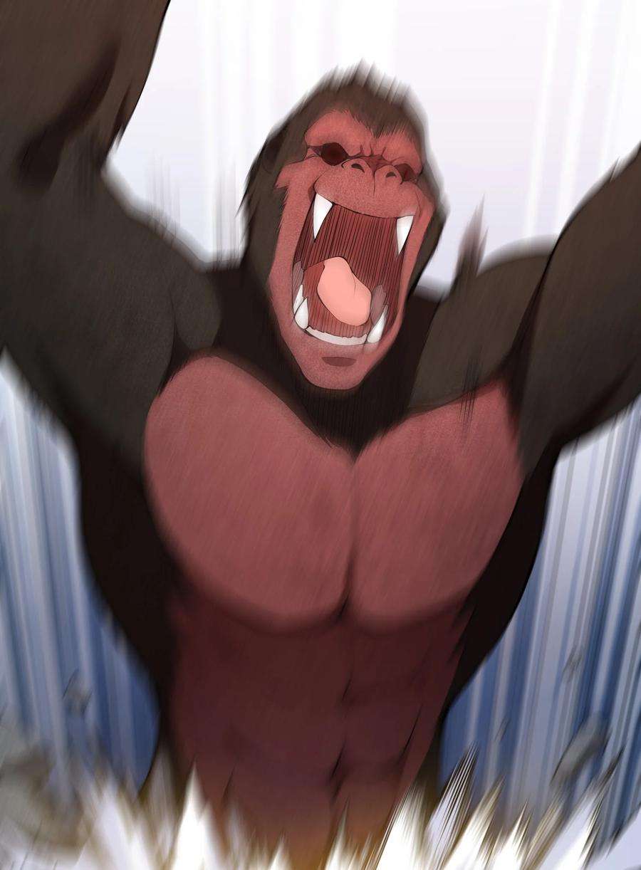 62.jpg
