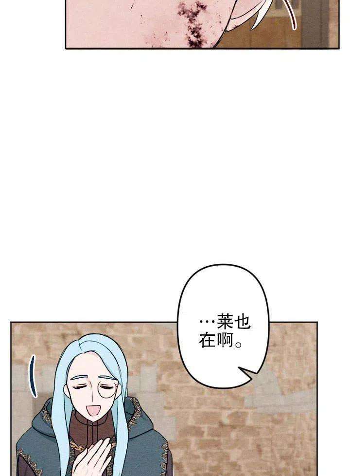 78.jpg