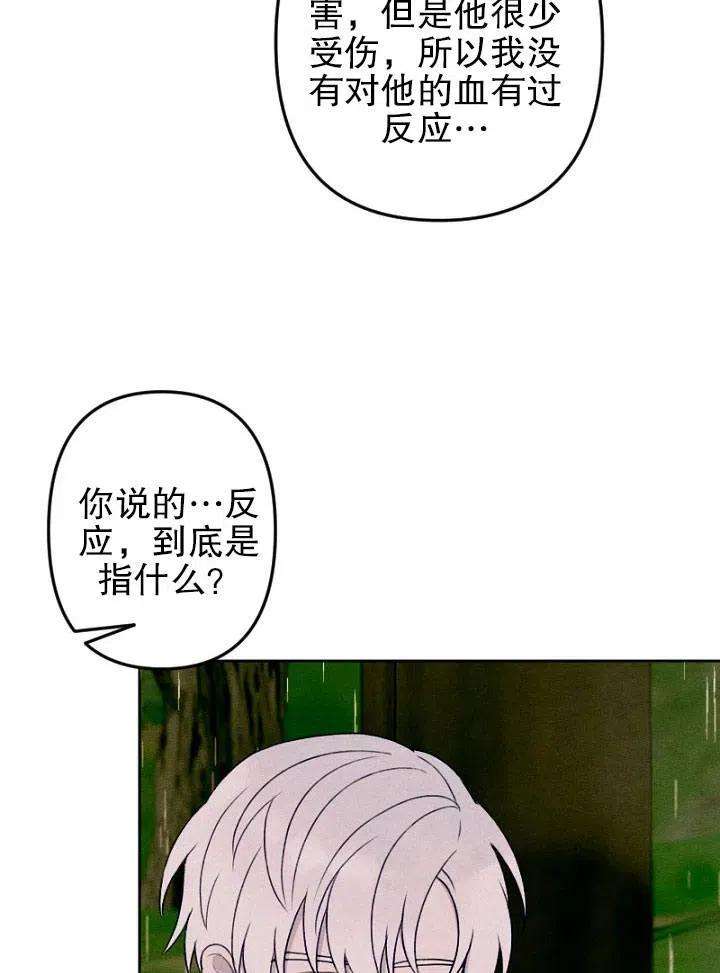 47.jpg