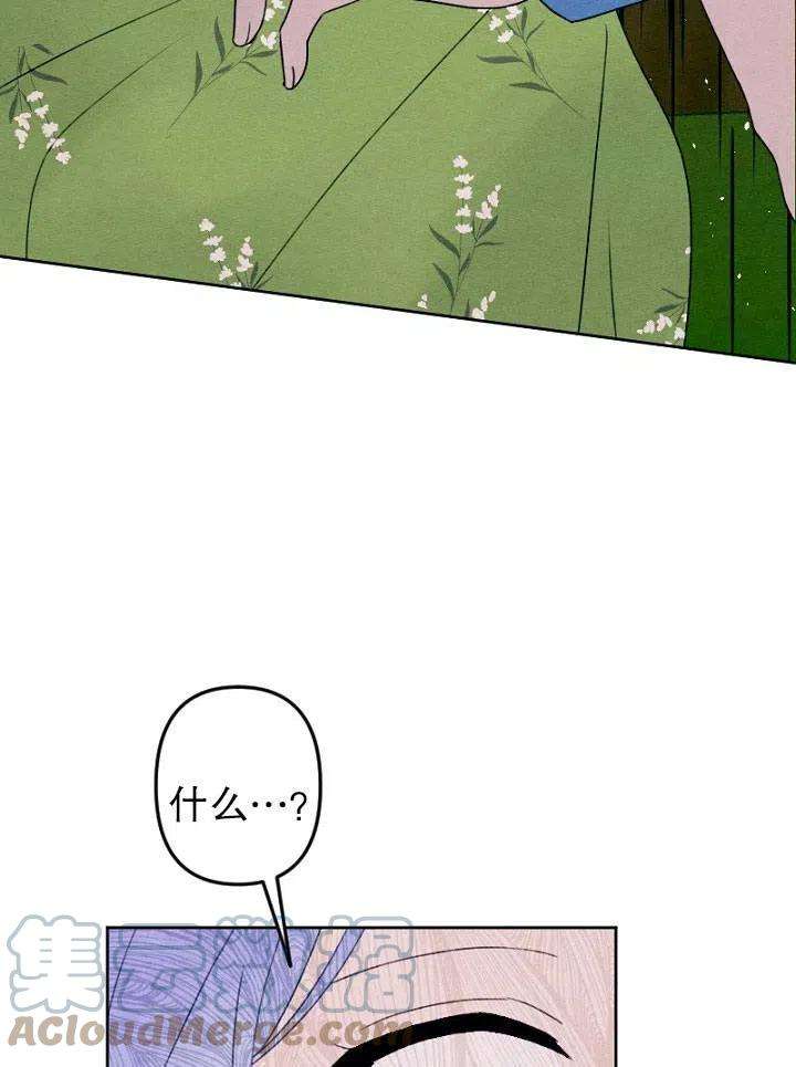 81.jpg