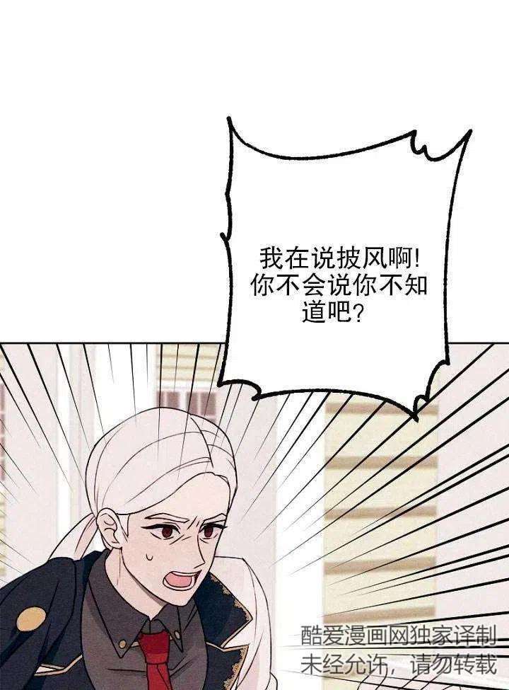 91.jpg