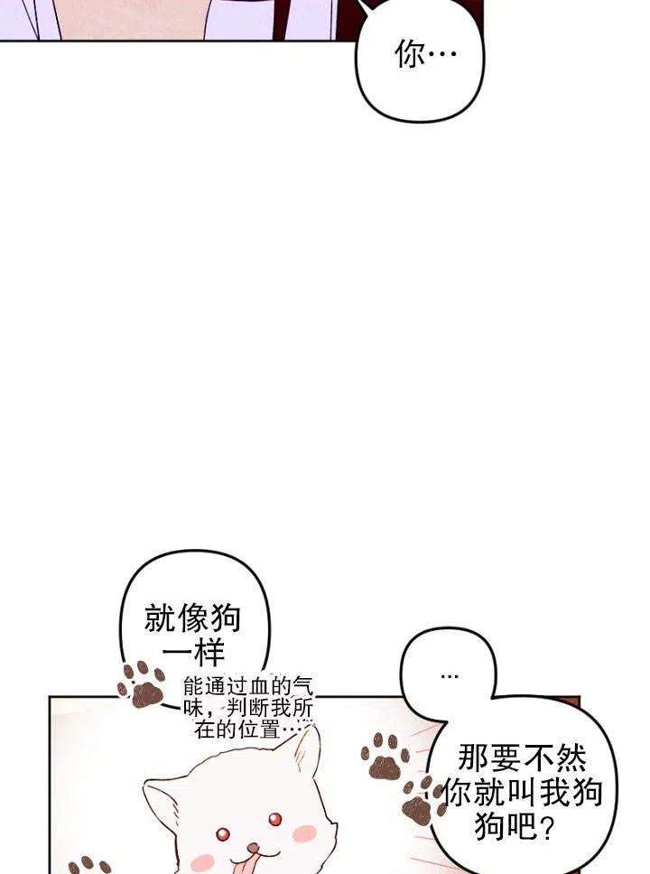 62.jpg