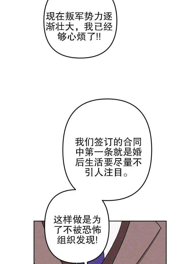 52.jpg
