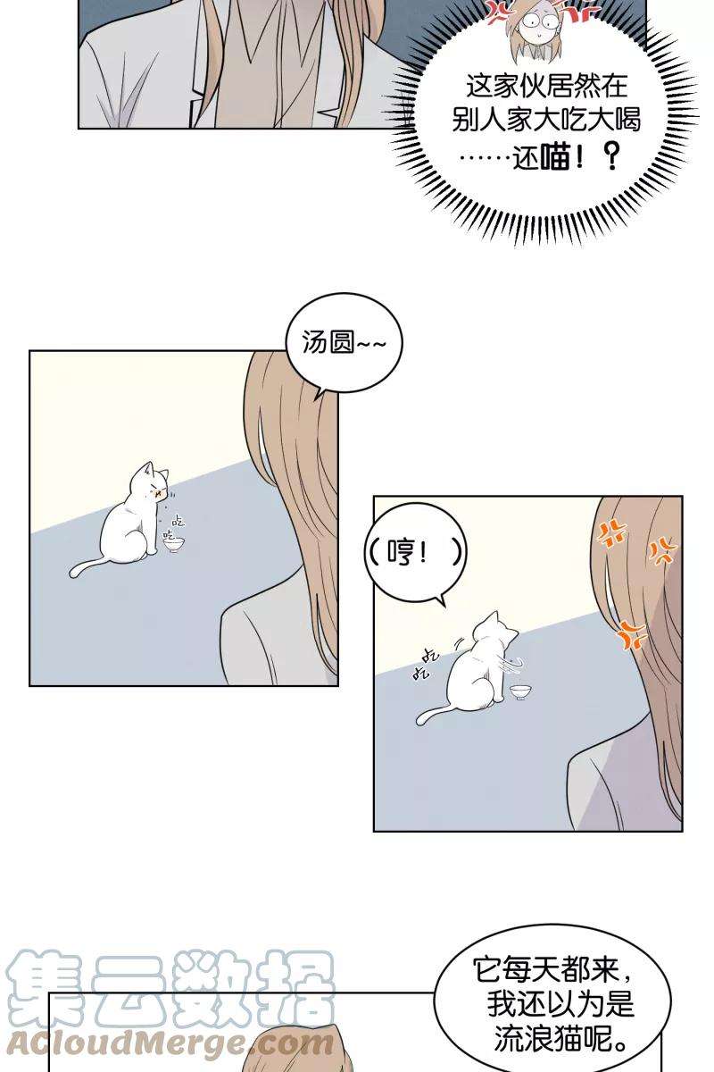 27.jpg