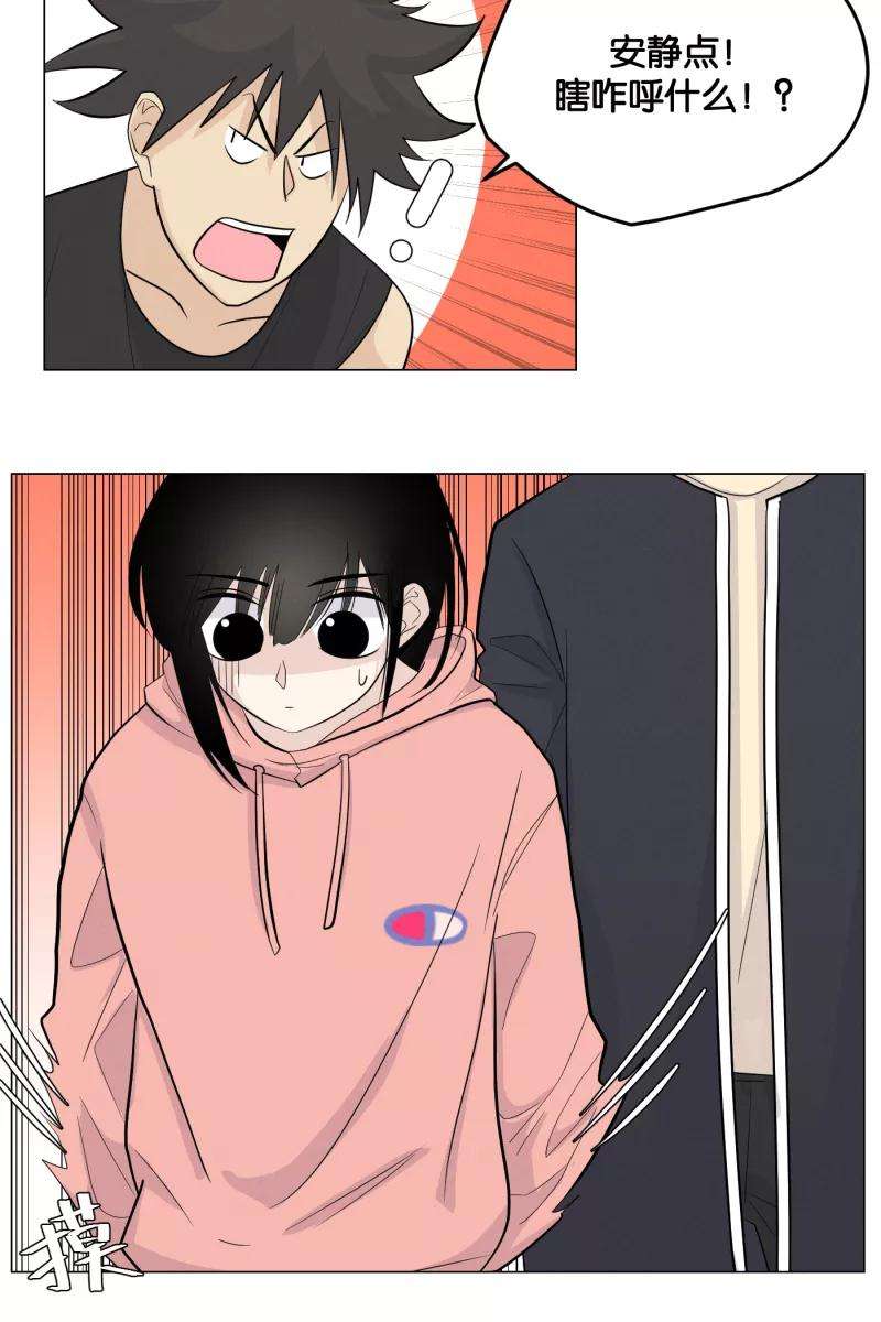 26.jpg