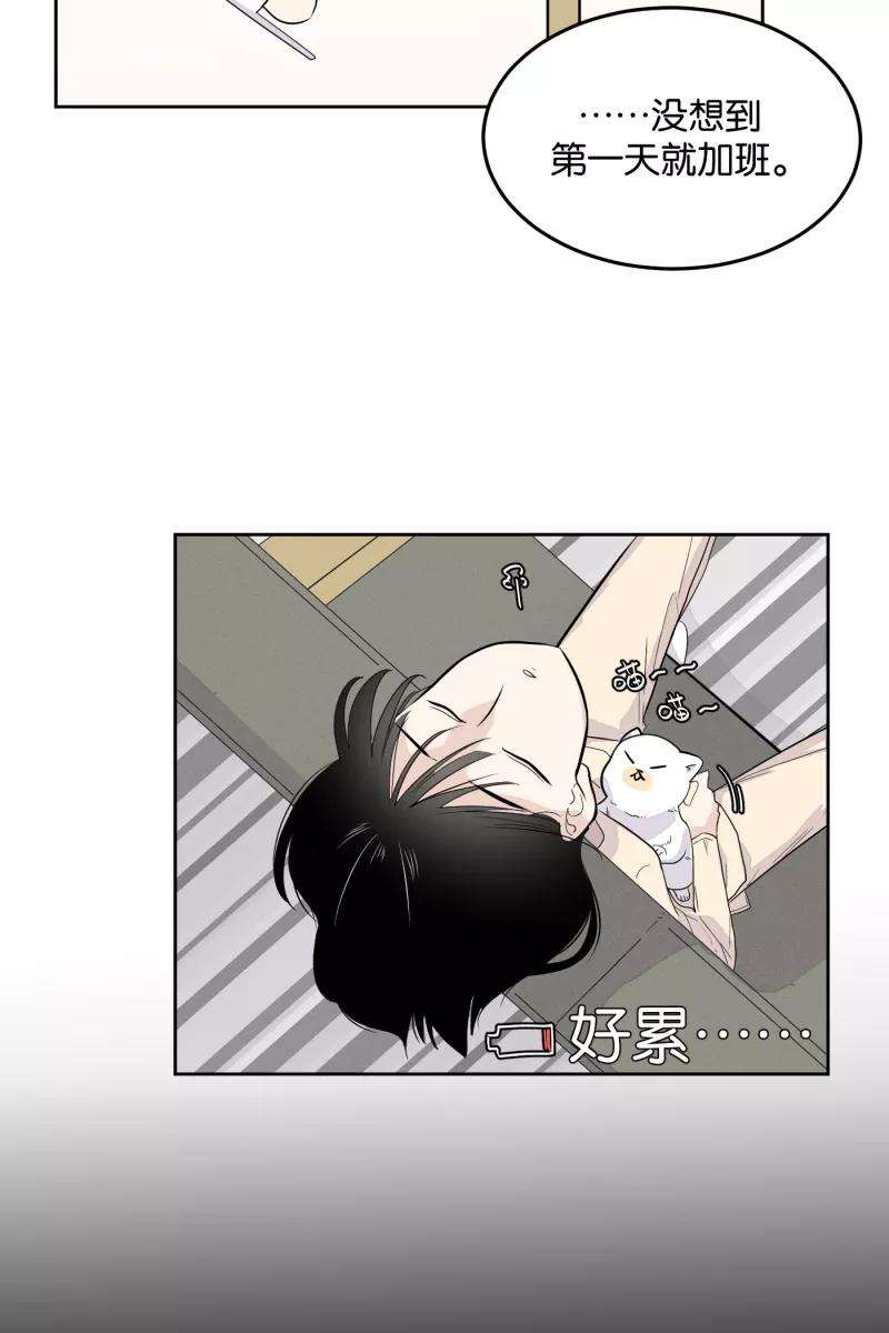 41.jpg