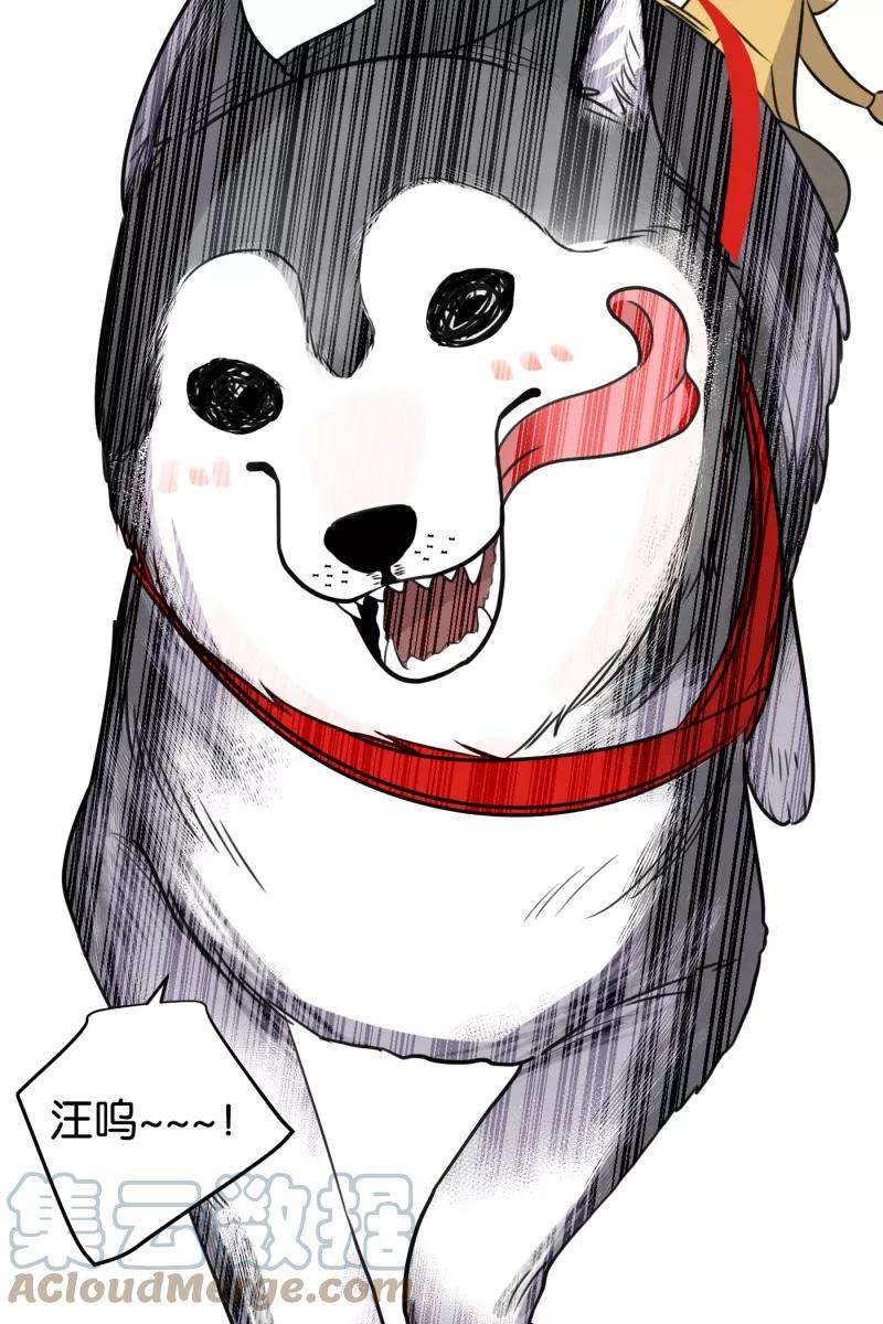 40.jpg
