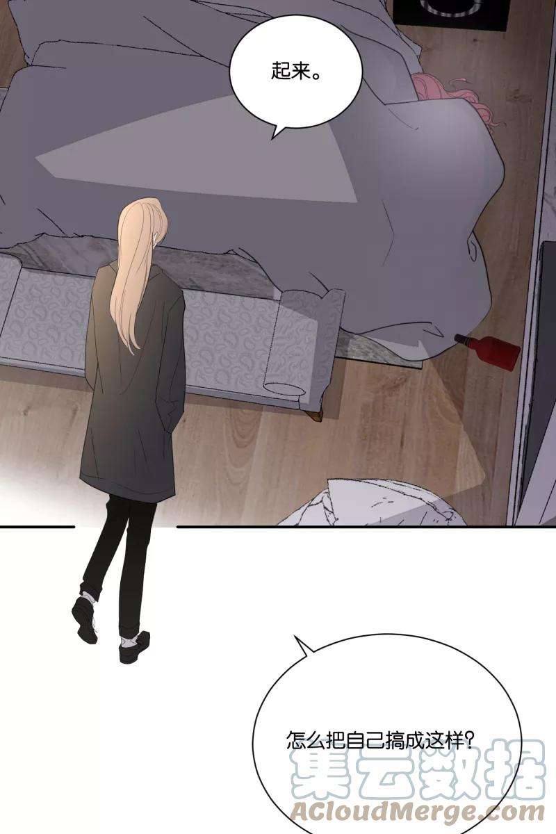55.jpg