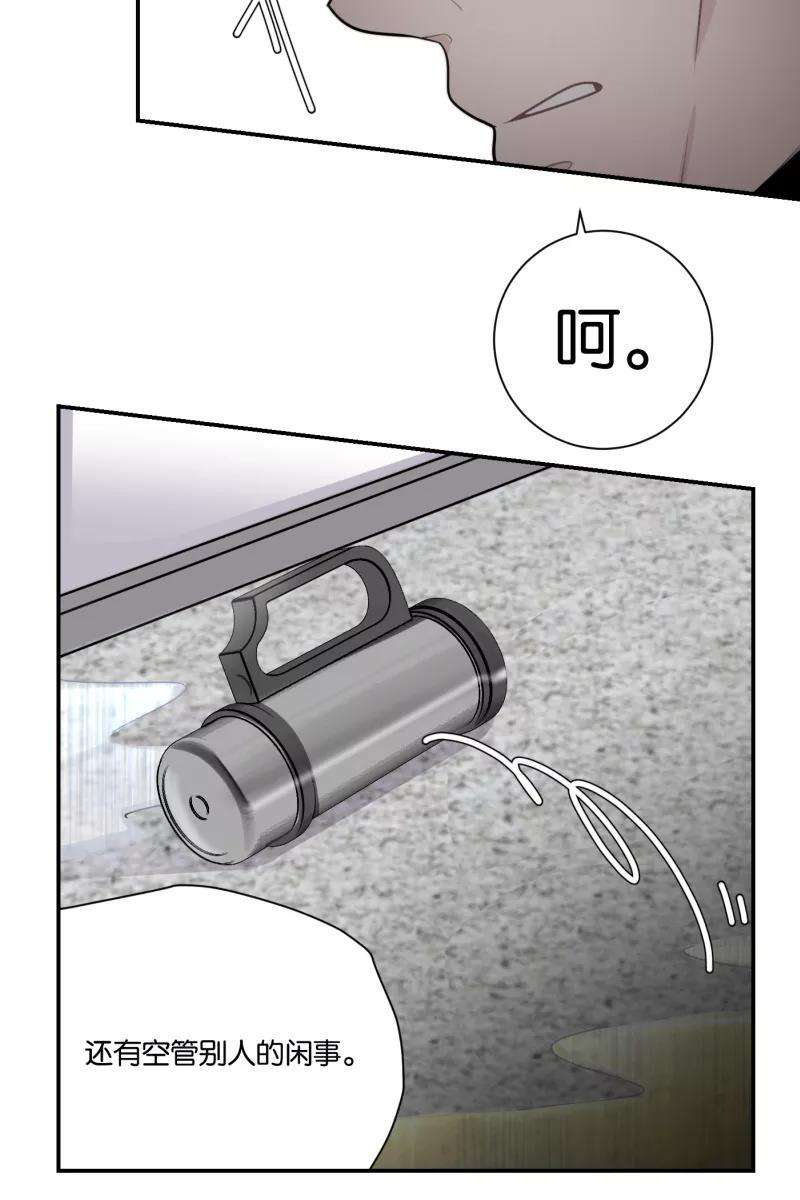 48.jpg