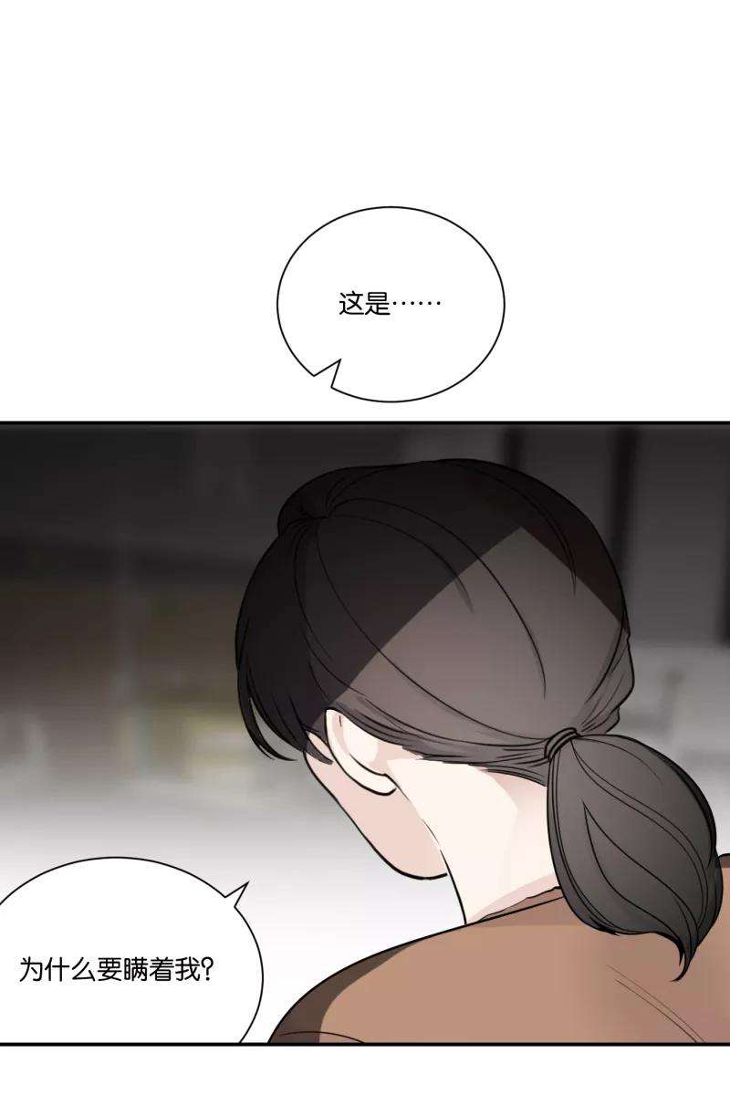 53.jpg