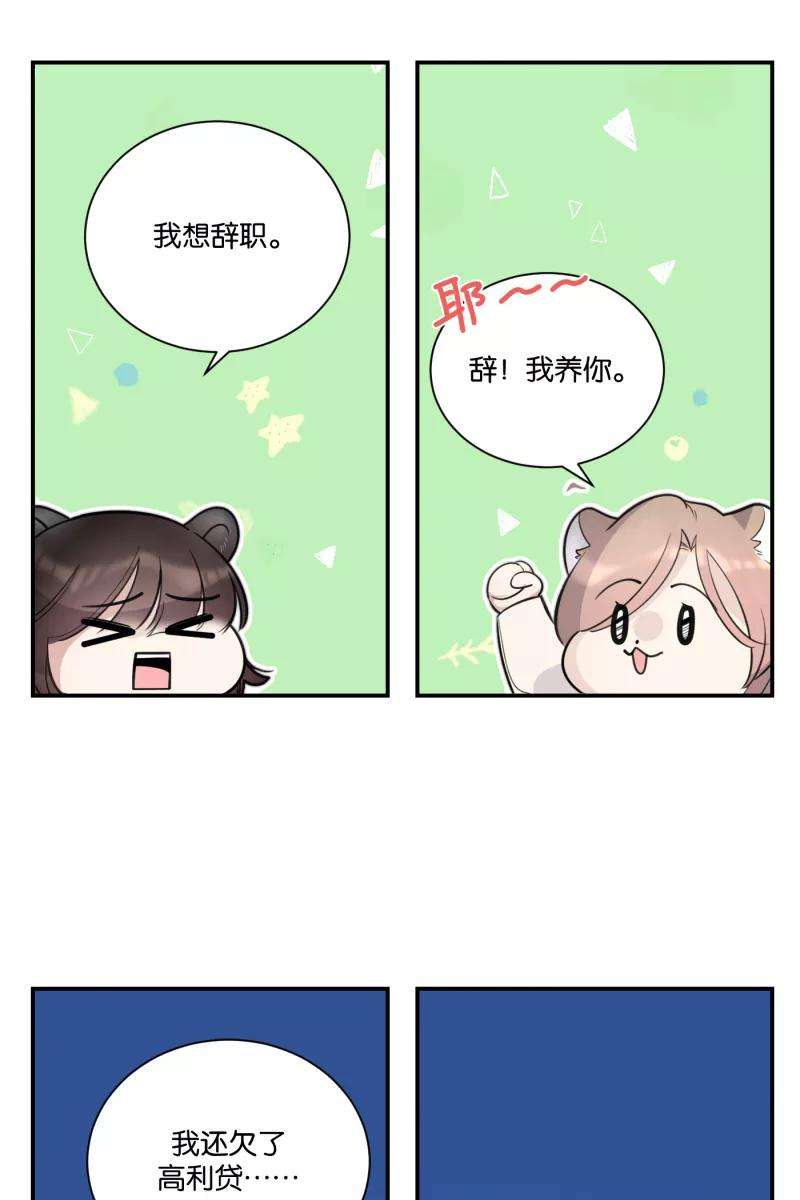 56.jpg