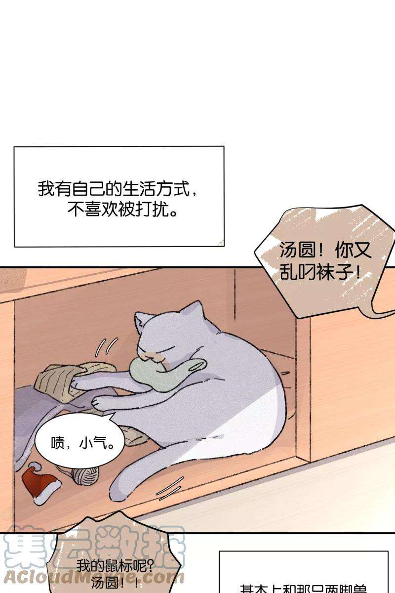 19.jpg