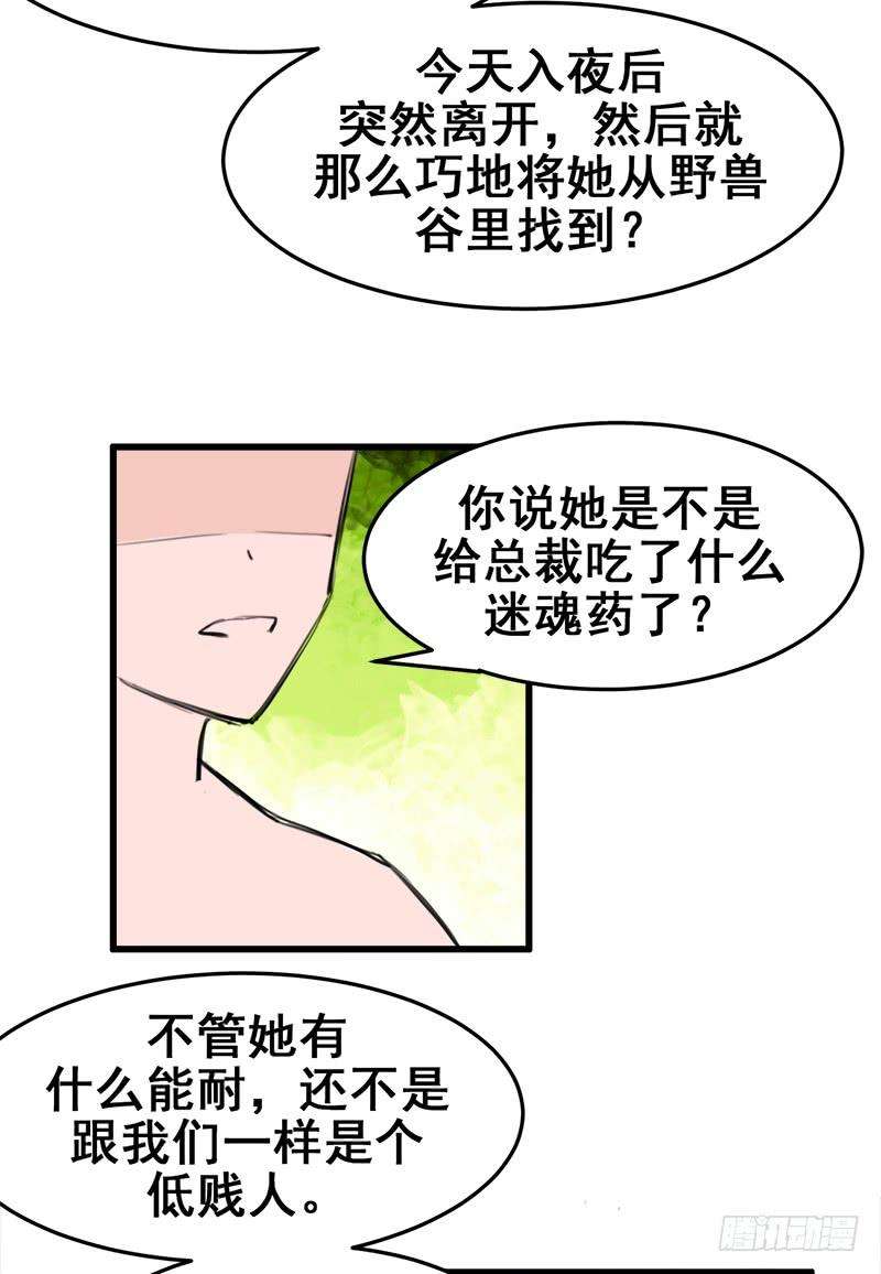 26.jpg