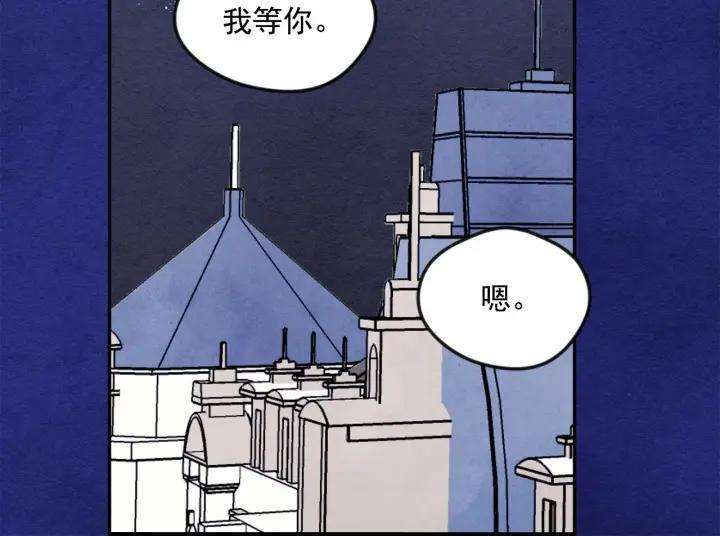 81.jpg