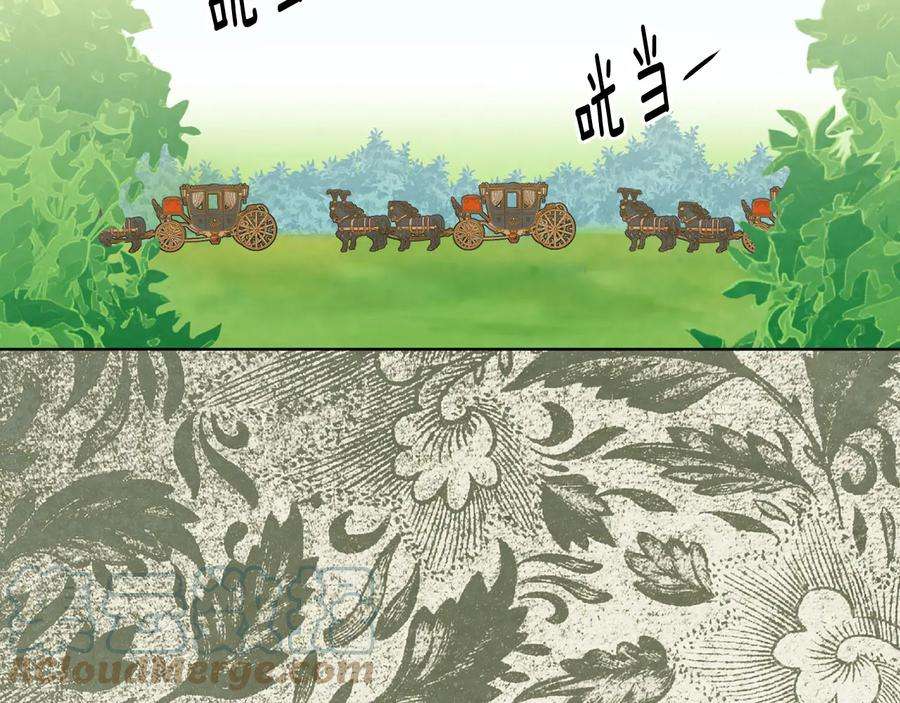 81.jpg