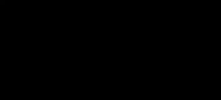 171.jpg