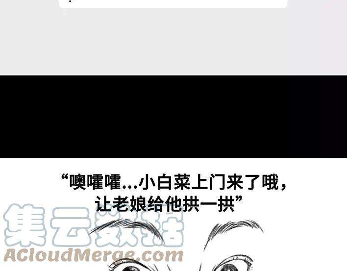 113.jpg