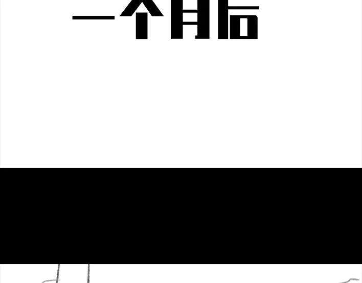 85.jpg