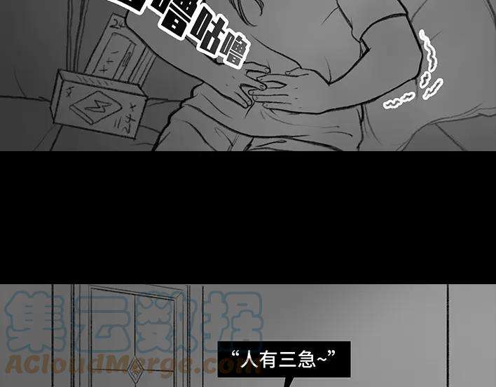 41.jpg
